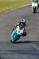 PJ-Motorsport-2019;anglesey-no-limits-trackday;anglesey-photographs;anglesey-trackday-photographs;enduro-digital-images;event-digital-images;eventdigitalimages;no-limits-trackdays;peter-wileman-photography;racing-digital-images;trac-mon;trackday-digital-images;trackday-photos;ty-croes